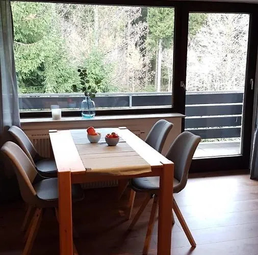 Direkt Am Skigebiet Und Bikepark